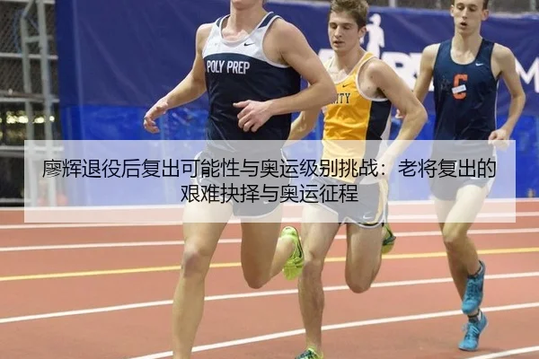 廖辉退役后复出可能性与奥运级别挑战：老将复出的艰难抉择与奥运征程
