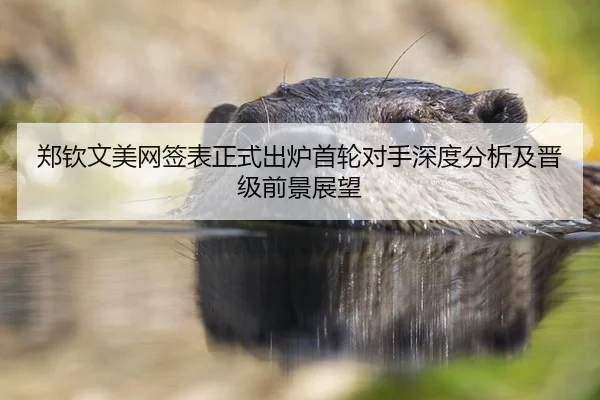 zheng-qin-wen-mei-wang-qian-biao-zheng-shi-chu-lu-shou-lun-dui-shou-shen-du-fen-xi-ji-jin-ji-qian-jing-zhan-wang-3-588.jpg